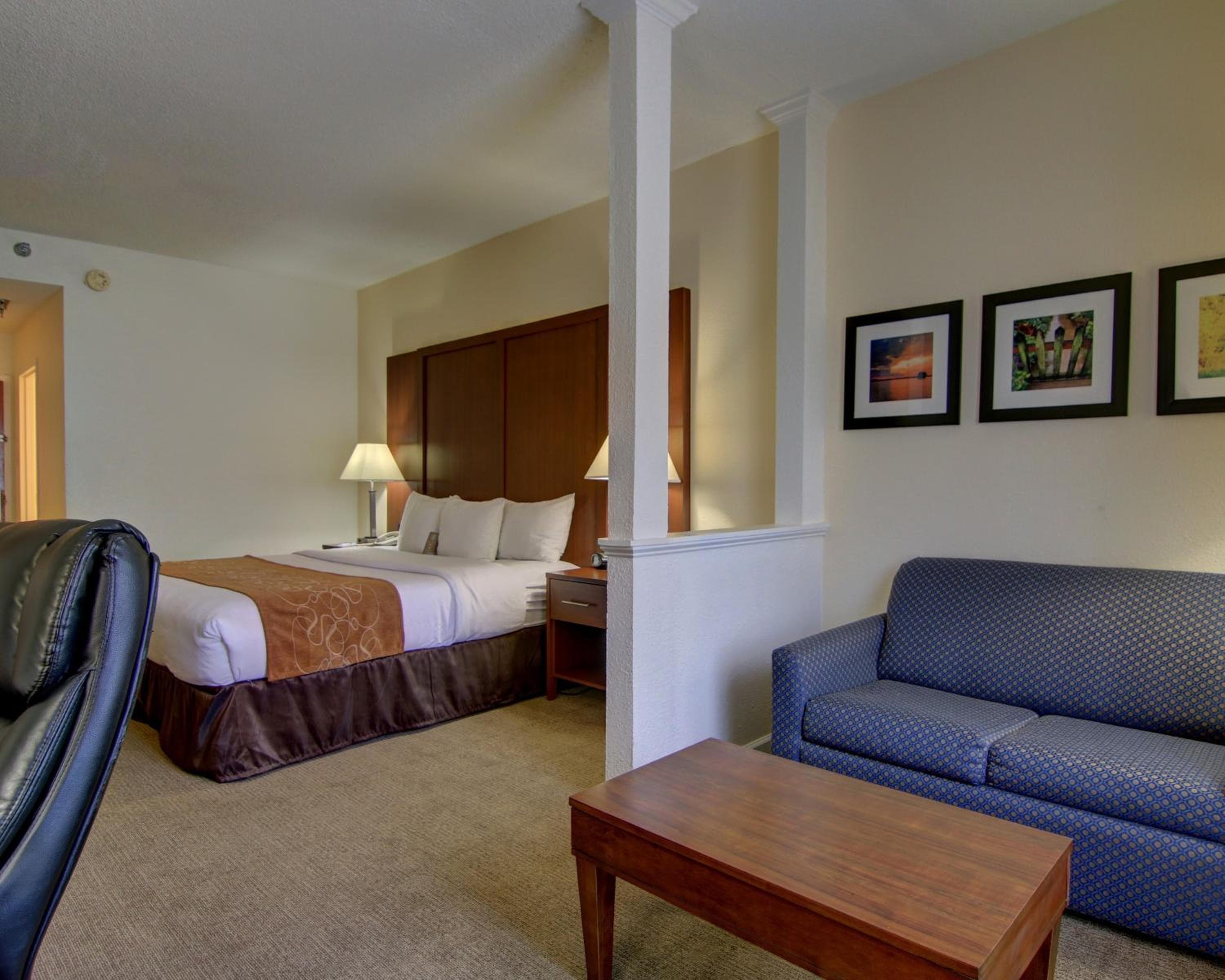 Comfort Suites Cumming-Atlanta near Northside Hospital Forsyth