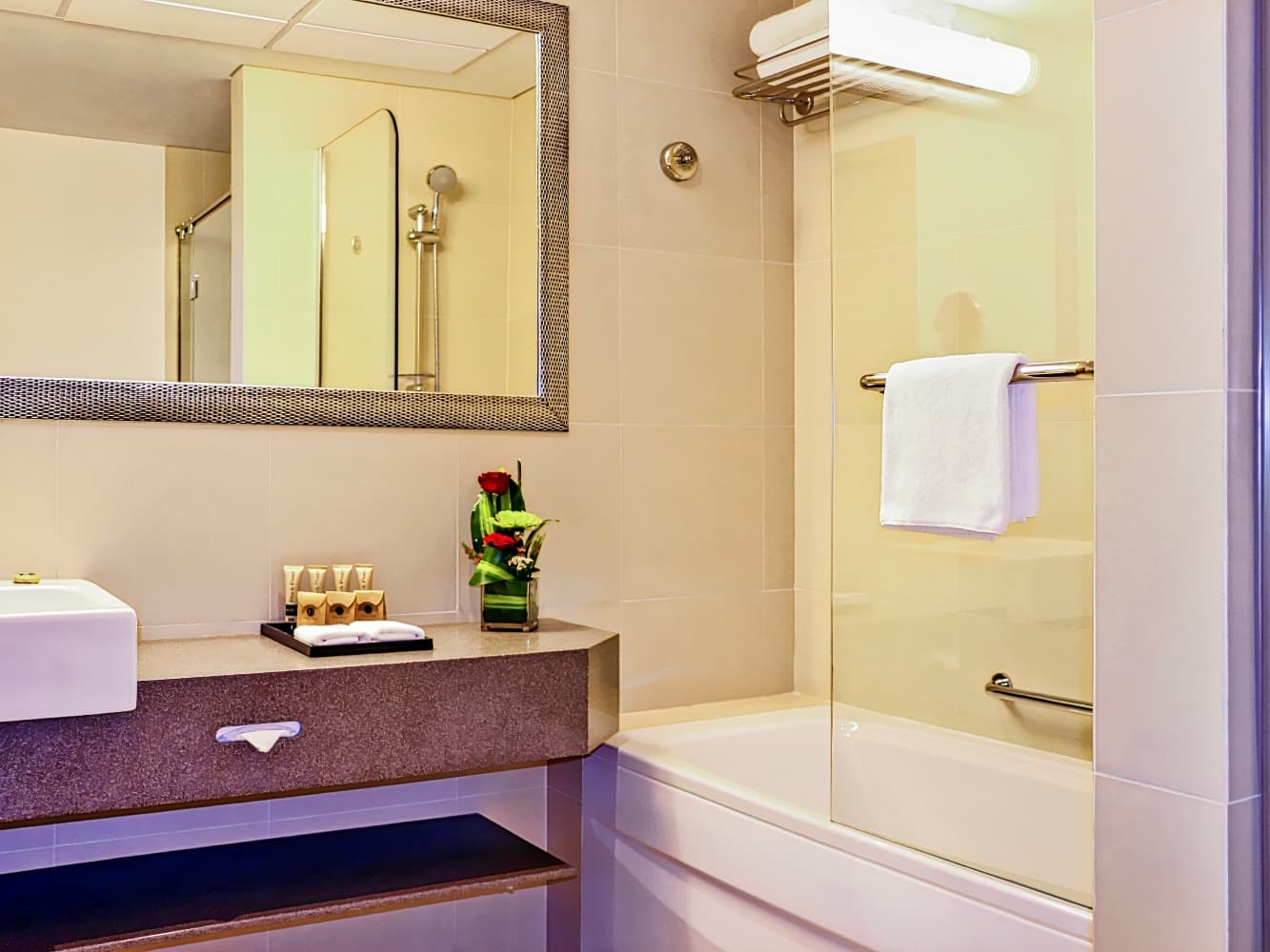 Aparthotel Adagio Premium Dubai Al Barsha